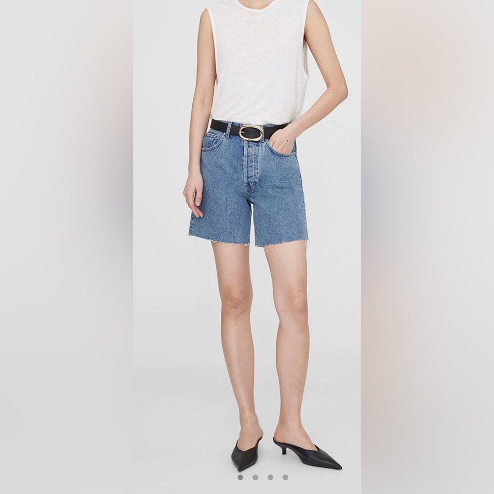 Anine Bing Kat Shorts